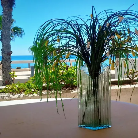 Apartment Apartamento-primera Linea Playa-la Mata-alicante