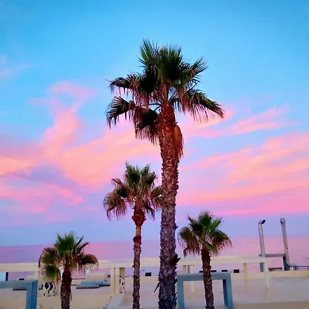 Apartamento-primera Linea Playa-la Mata-alicante *