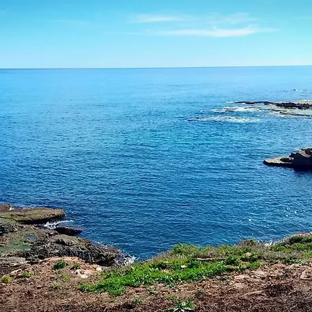 Apartment Apartamento-primera Linea Playa-la Mata-alicante *