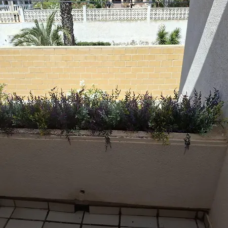 Apartment Apartamento-primera Linea Playa-la Mata-alicante Torrevieja