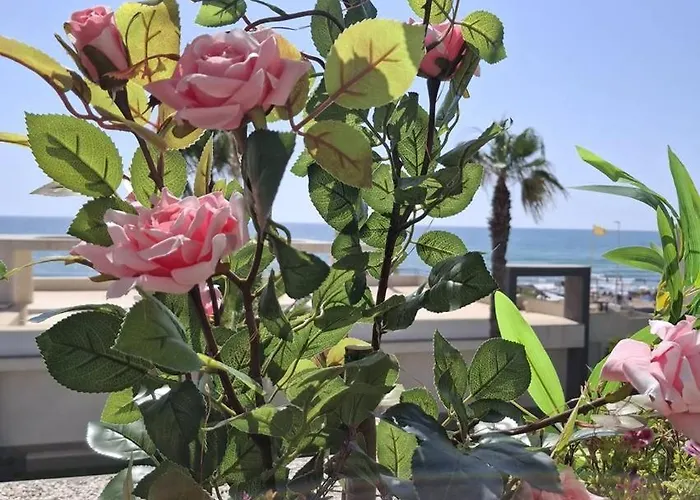 Apartamento-primera Linea Playa-la Mata-alicante *