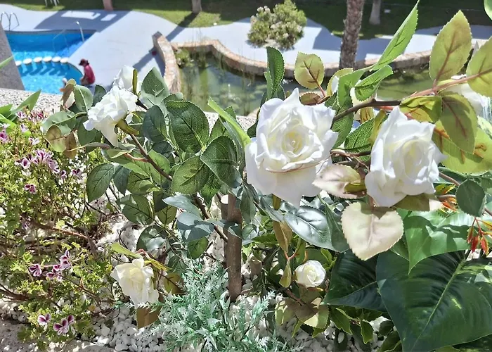 Apartment Apartamento-primera Linea Playa-la Mata-alicante *