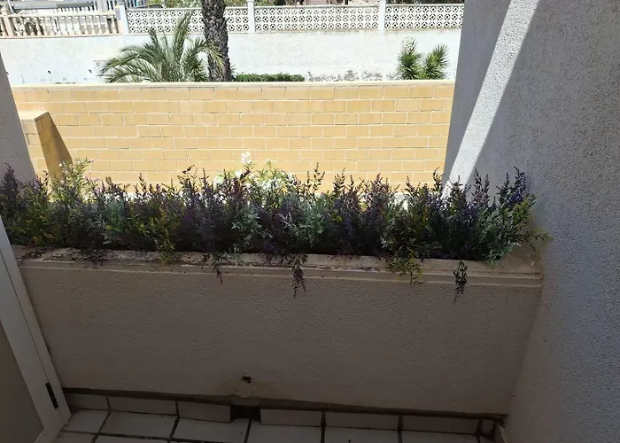 Apartment Apartamento-primera Linea Playa-la Mata-alicante Torrevieja