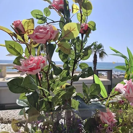 Apartamento-primera Línea Playa-la Mata-alicante *