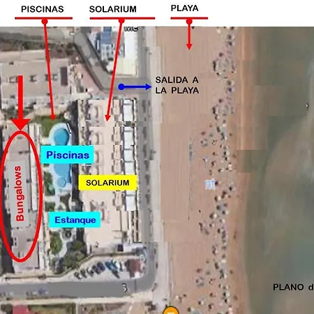 Apartamento-primera Línea Playa-la Mata-alicante Apartamento Torrevieja